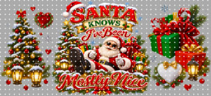 16oz Christmas-S  2988